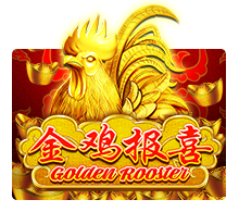 Golden-Rooster